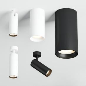 现代筒灯射灯-D1